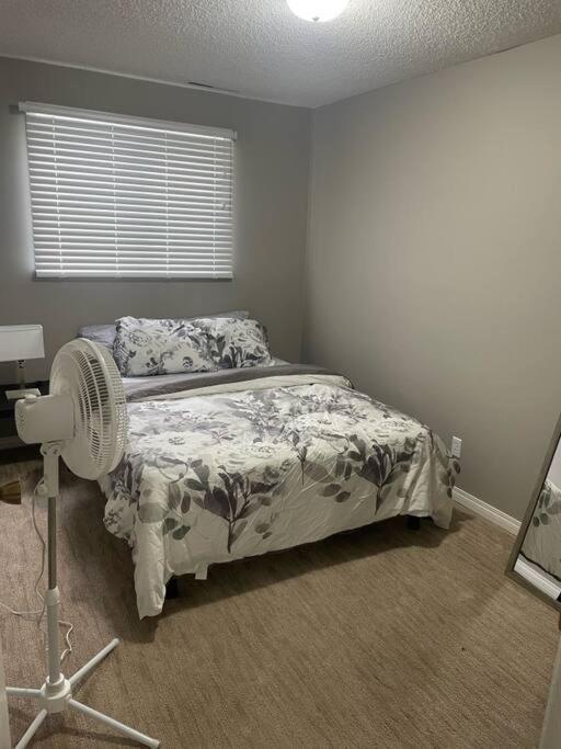 Wonderful 2-Bedroom Apartment Camrose Extérieur photo